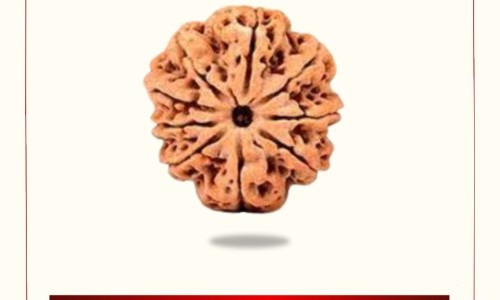 中药龙齿好坏区别-龙齿中药用大火还是小火煮、龙齿的煎煮方法 -龙齿中药用大火还是小火煮网